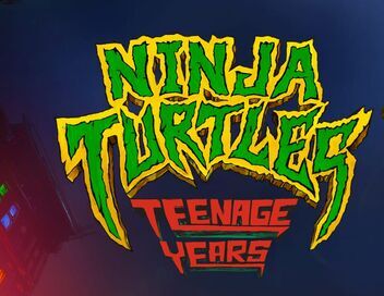 Ninja Turtles : Teenage Years