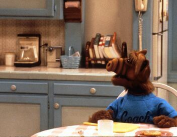 Alf