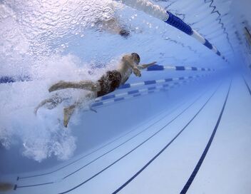 Natation : Championnats du monde