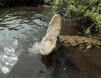 Jérôme, les yeux dans le bleu