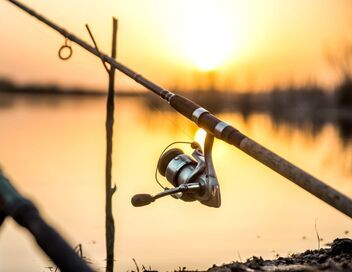 Sport ou loisir, la pêche a la cote