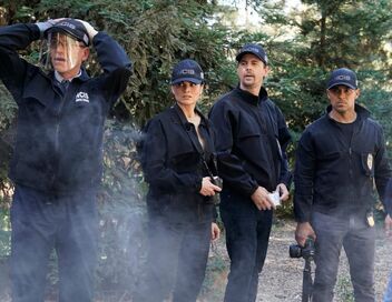 NCIS