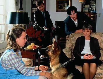 Rex, chien flic
