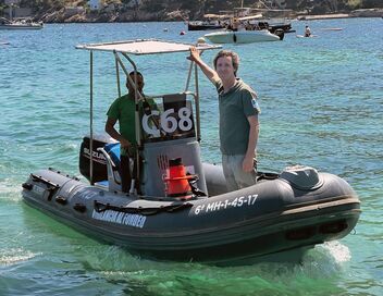 Aux Baléares, sauver les herbiers marins