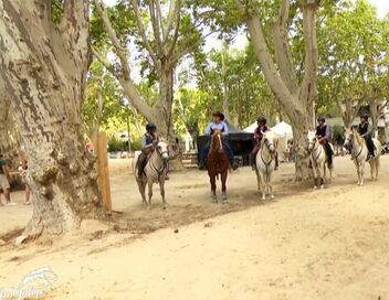 Au galop ! Une saison à cheval