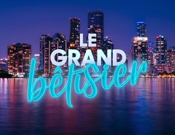 Le grand bêtisier