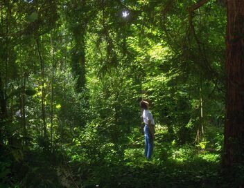 Orlando, ma biographie politique