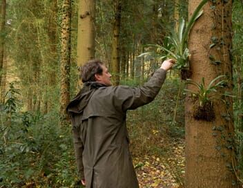 La civilisation des arbres