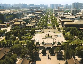 La route de la soie et autres merveilles