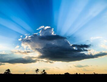Une planète parfaite