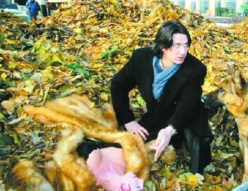 Rex, chien flic
