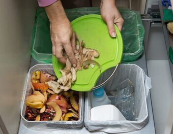 Le fret en voie de l'écologie