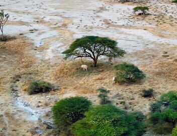 Kenya : la terre des contrastes