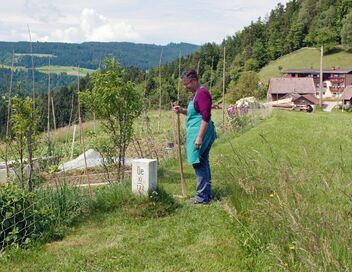 Chemins de traverse