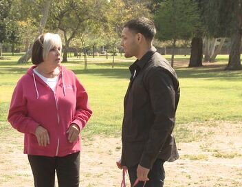 Petits mais féroces!