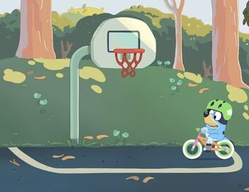 Bluey