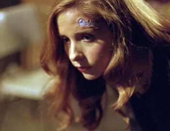 Buffy contre les vampires