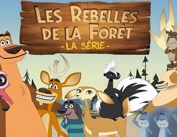 Les rebelles de la forêt, la série