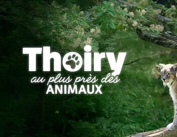 Thoiry : au plus près des animaux