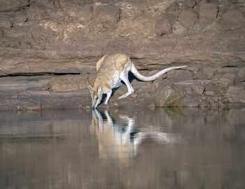 Kimberley, le Grand Ouest sauvage australien