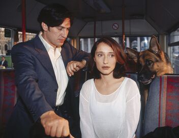 Rex, chien flic