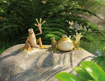 Les as de la jungle : en direct