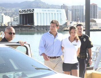 Hawaii 5-0
