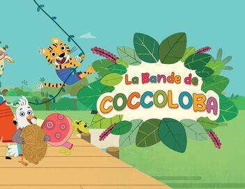 La bande de Coccoloba