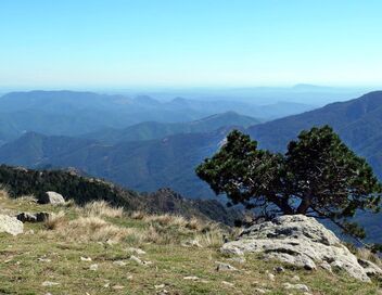 Le Massif central, poumon vert de la France
