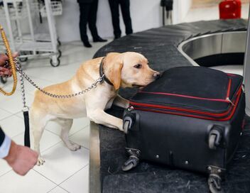Au cœur des douanes : Espagne