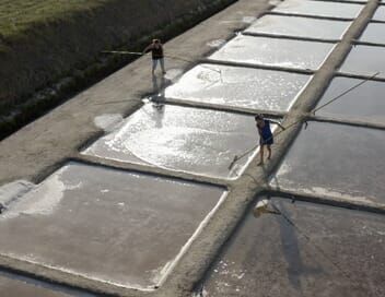 Oleron les sentinelles du climat