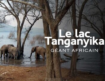 Le lac Tanganyika, géant africain