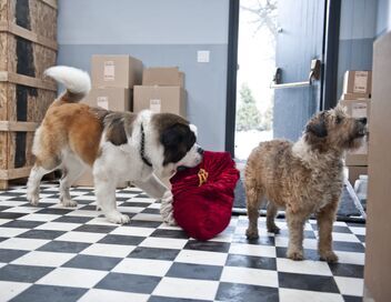 Beethoven sauve Noël