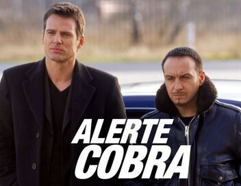 Alerte Cobra