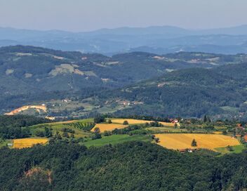Cuisines des terroirs