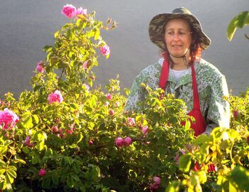 La Bulgarie, le pays des roses