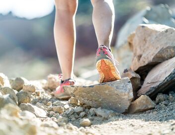 Trail : Ultra-Trail du Mont-Blanc