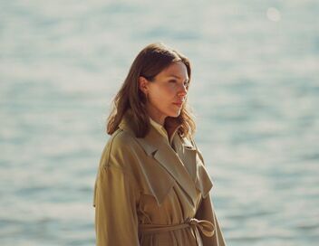 Simple comme Sylvain