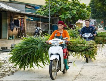 Vietnam : Le monde merveilleux de Ha Giang