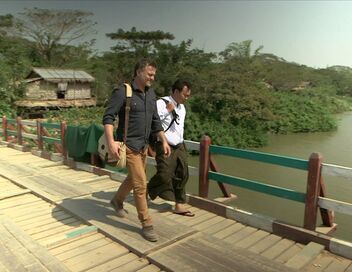 Médecines d'ailleurs