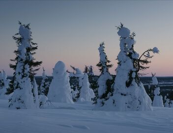 La Scandinavie arctique