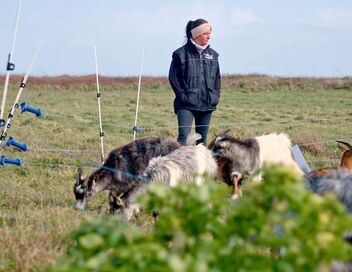 Tout quitter pour une île bretonne