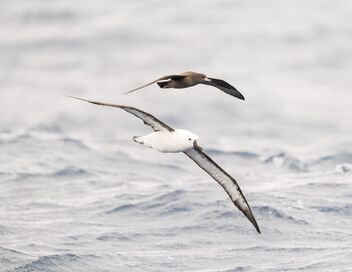 Le peuple des tempêtes