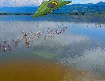 Scooby Doo et les mystères de la nature