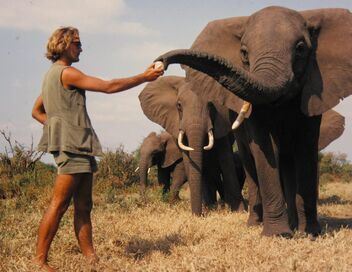 Une vie parmi les éléphants