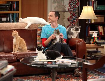 The Big Bang Theory