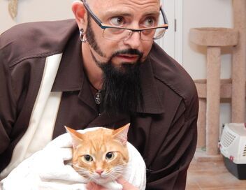 Hell's Cat : mon chat est un cauchemar
