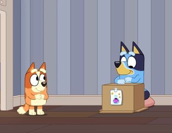 Bluey Minisodes