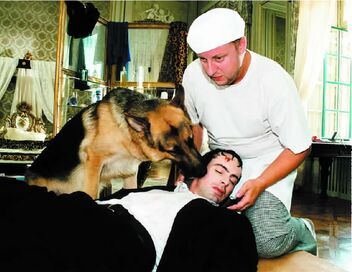 Rex, chien flic
