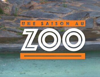 Une saison au zoo